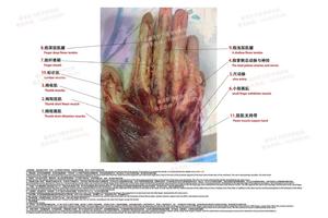 微信图片_202112241521021.jpg
