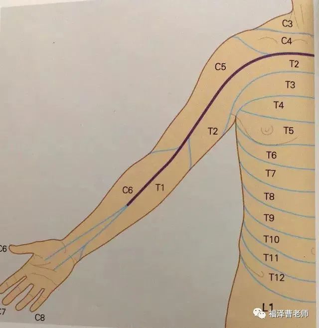 福泽针刀文章 - 我的网站
